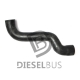 Diesel bus