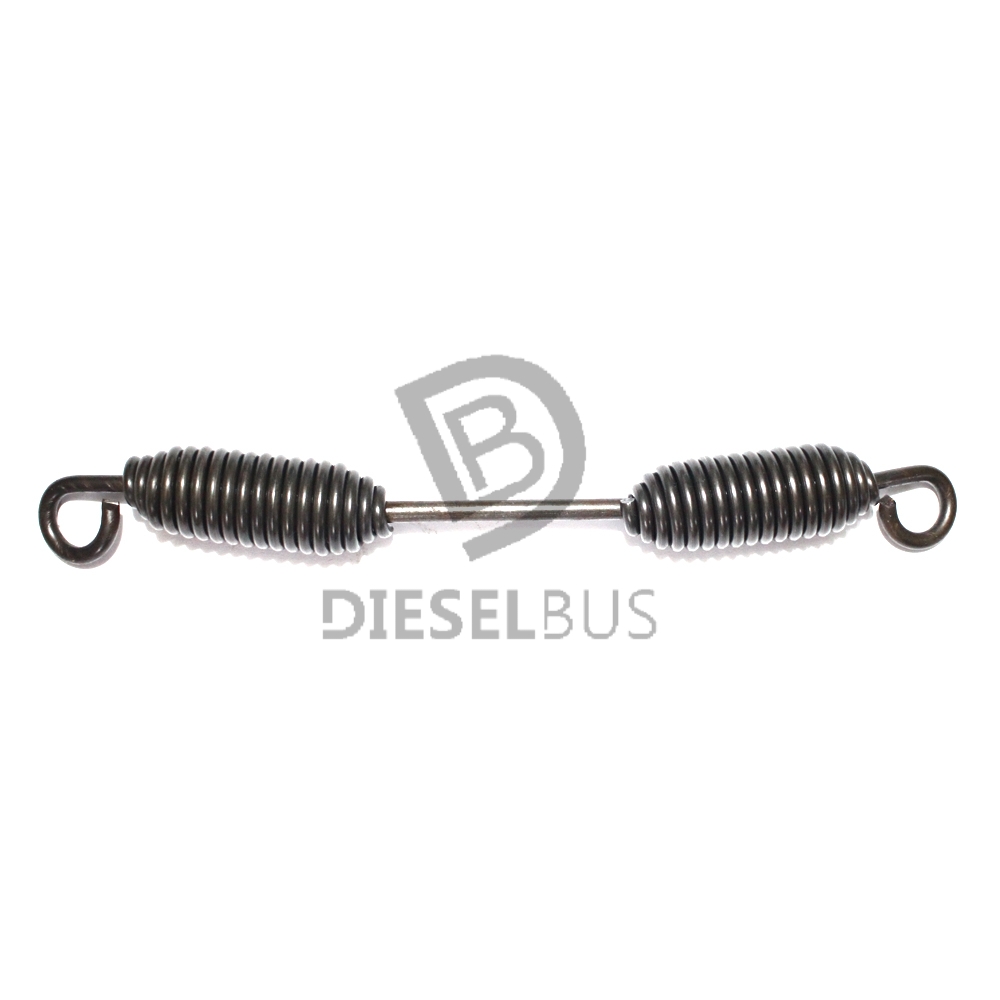 Diesel bus