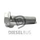 Diesel bus