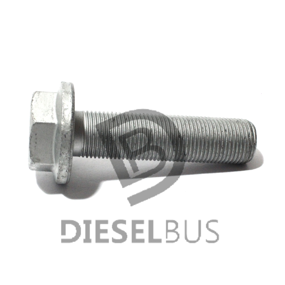 Diesel bus