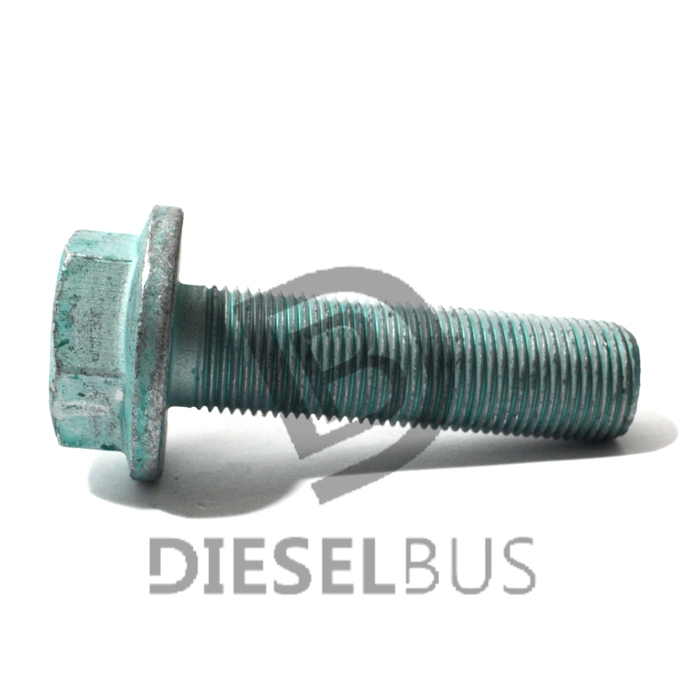 Diesel bus
