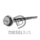 Diesel bus