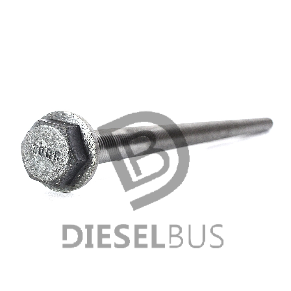 Diesel bus